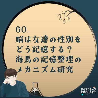 60. 脳は友達の性別をどう記憶する?海馬の記憶整理のメカニズム研究 60. 脳は友達の性別をどう記憶する?海馬の記憶整理のメカニズム研究