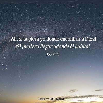 Bro League Commissioner Cast 2025 Week 5