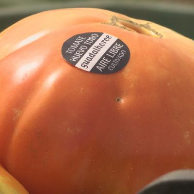 Reportajes Emisoras - Málaga - Tomate huevo de toro - 10/10/25 Reportajes Emisoras - Málaga - Tomate huevo de toro - 10/10/25