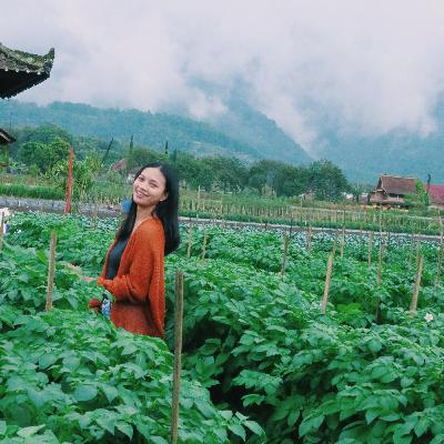 Community Development