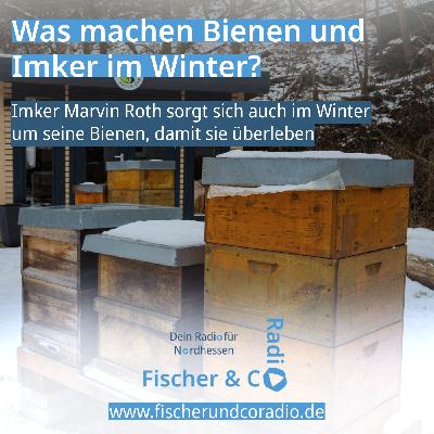 Was machen Imker und Bienen im Winter? – Imker Marvin Roth erklärt