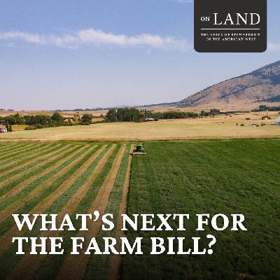 What's next for the Farm Bill?