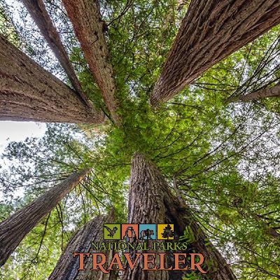 National Parks Traveler Podcast | How Wild