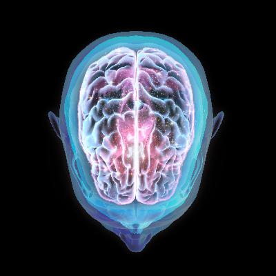 Les effets prouvés de la méditation sur le cerveau (EN REDIFFUSION)
