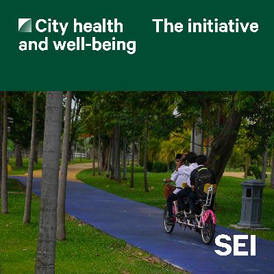 The City Health and Well-being Initiative The City Health and Well-being Initiative