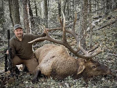 Rut Hunting Big Bull Elk: New Mexico Audio Journal