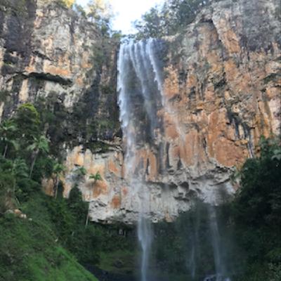 【我是美國林務局的搜救員】（PTT媽佛精華文）