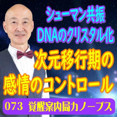 73.「次元移行期の感情のコントロールについて」シューマン共振　DNAのクリスタル化