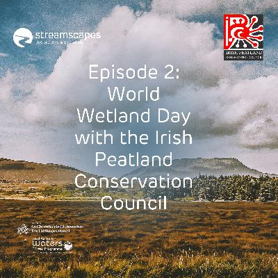 World Wetland Day & the Irish Peatland Conservation Council