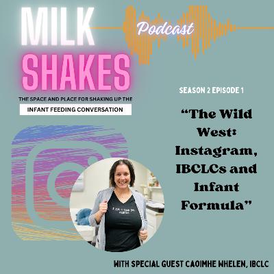 The Wild West: Instagram, IBCLCs, and Infant Formula