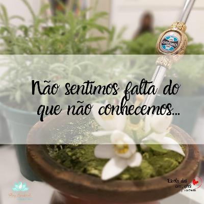 INSIGHTS DE CONSCIÊNCIA