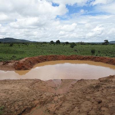 “Todo mundo está sofrendo”, diz produtor rural sobre seca em Minas Gerais