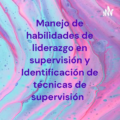 Manejo de habilidades de liderazgo necesarias en la supervisión y Identificación de técnicas de supervisión