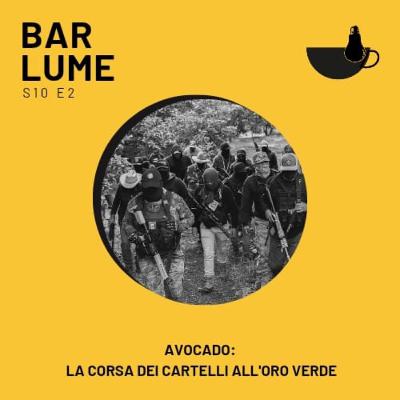 Ep. 159: Avocado: la corsa dei cartelli all'oro verde Ep. 159: Avocado: la corsa dei cartelli all'oro verde