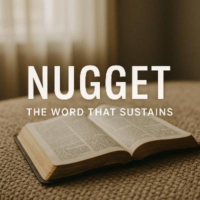 Friday's Nugget - November 14, 2025 Friday's Nugget - November 14, 2025