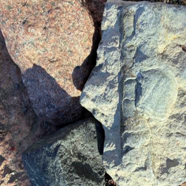 Varför blir det så bördigt?