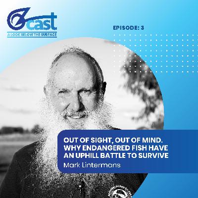 Out of sight, out of mind – why endangered fish have an uphill battle to survive with Mark Lintermans Out of sight, out of mind – why endangered fish have an uphill battle to survive with Mark Lintermans