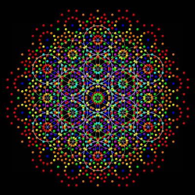 E7 - The Geometry of a Unified Physics, Bitcoin, and Beekeeping with Garrett Lisi