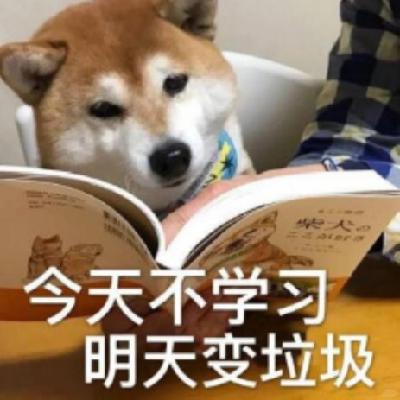 46.在生活的裂缝中打捞自己的形状