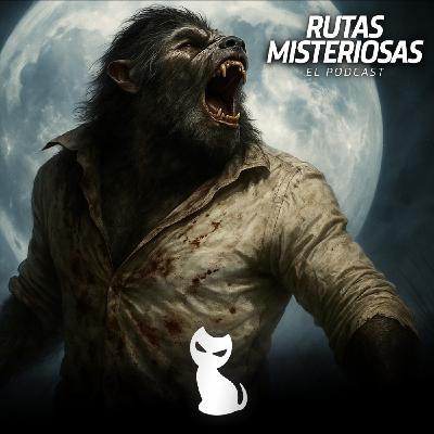 T3•77 Hombres lobo en España
