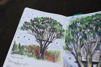 It's ok, she's doing the tree! It's ok, she's doing the tree!