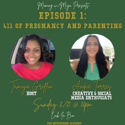 411 of Pregnancy and Parenting 411 of Pregnancy and Parenting