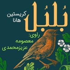 بلبل بلبل