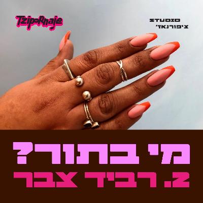 פרק 2 - רביד צבר