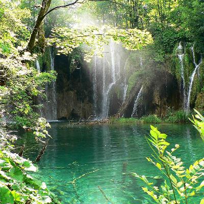 10 horas sonidos de grillos y lluvia para dormir, relajarse y descansar . 10 horas sonidos de grillos y lluvia para dormir, relajarse y descansar .