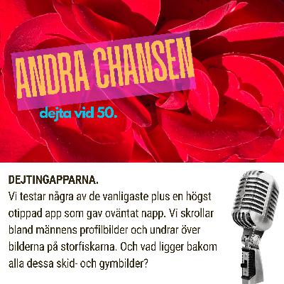 DEJTINGAPPARNA (3) DEJTINGAPPARNA (3)