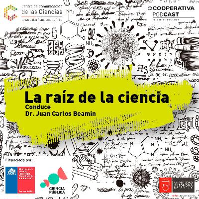 Instrucciones para viajar más rápido que la luz