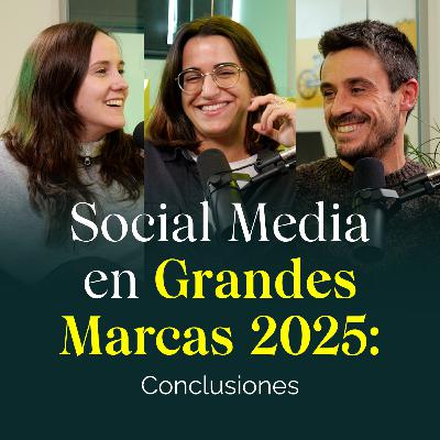 Social Media en Grandes Marcas 2025: Conclusiones