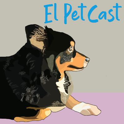 EL PETCAST EL PETCAST