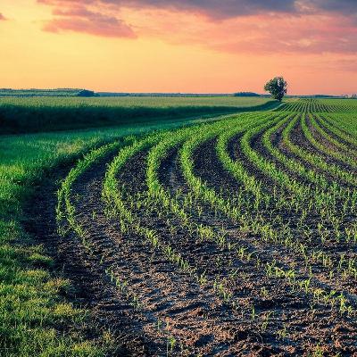 [ 4.2 廣東話聖經故事 - 撒種的比喻 ]..... 路旁 | 土淺石地上 | 荊棘裡 | 好土壤裡 | 領受 | 逼迫 | 跌倒 | 思慮 | 錢財 | 迷惑 |私慾 | 芥菜種 | 你聽我講