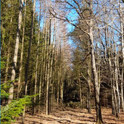 kennet andersen podcast studie artikel 9 til 13 dansk 26 dec 2023 nr 1026 kennet andersen podcast studie artikel 9 til 13 dansk 26 dec 2023 nr 1026