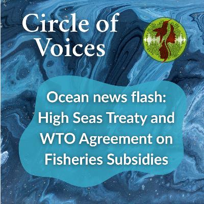 Ocean news flash - High Seas Treaty (BBNJ) and World Trade Organisation's Agreement on Fisheries Subsidies