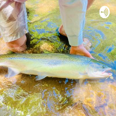Coho Salmon Fishing Tactics Coho Salmon Fishing Tactics