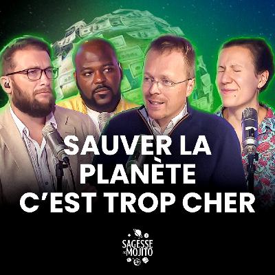 Payer plus pour sauver la planète, c’est quoi le but ?