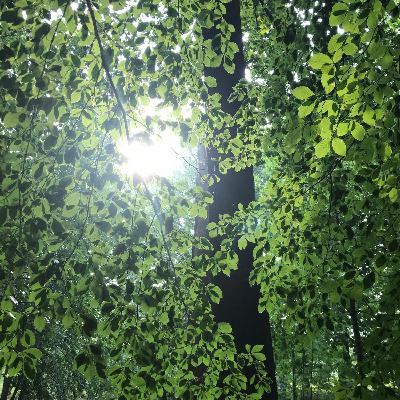 Episode#005: friend/朋友 Episode#005: friend/朋友