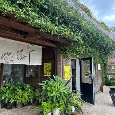 [445] 宇宙の調整と雨