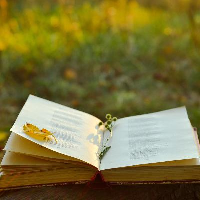 Contro la motivazione