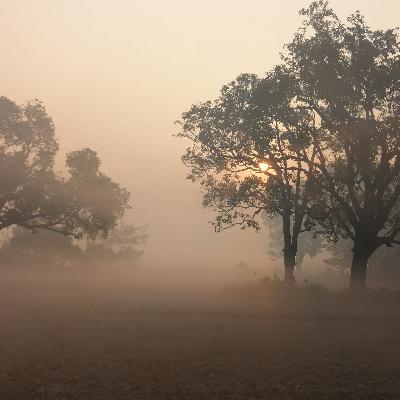 005 - In Die Stille Finden