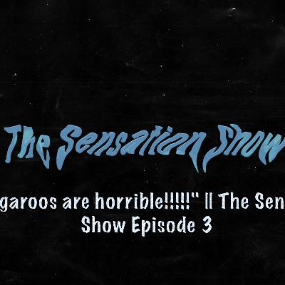 "Kangaroos are horrible!!!!!" || The Sensation Show Episode 3