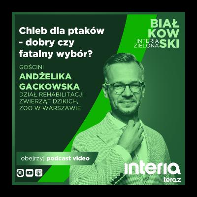 Chleb dla ptaków - dobry czy fatalny wybór?