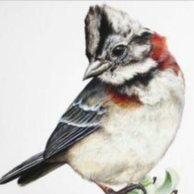 Los Copetones de Paulo VI