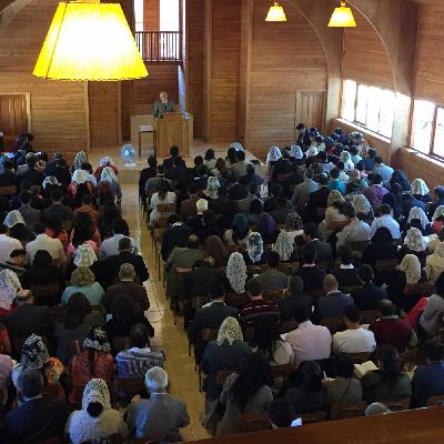 Juan Seguel - Parte 1 - Año 2015