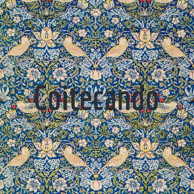 Coitecando- ¿Creatividad?