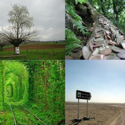 Un árbol creciendo sobre otro, los árboles del dinero, el Túnel del amor y el Árbol de la Vida