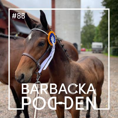 Kval och medalj! Kval och medalj!