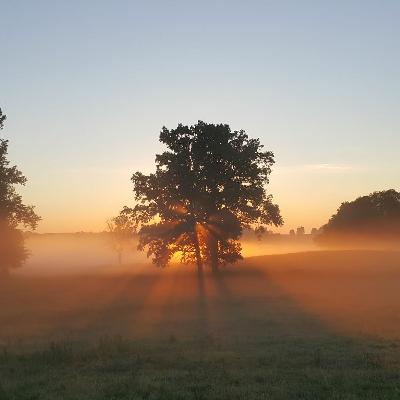 Early Morning Birdsong 3rd May 2020 05:30 Early Morning Birdsong 3rd May 2020 05:30